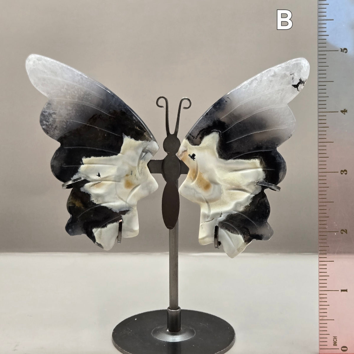 Volcano Agate Butterfly Wing Carvings on Stand