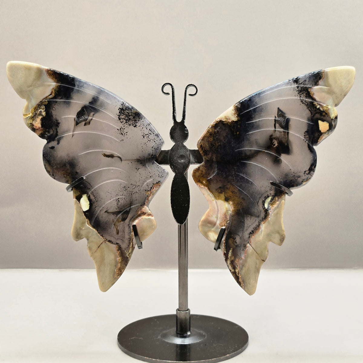 Volcano Agate Butterfly Wing Carvings on Stand