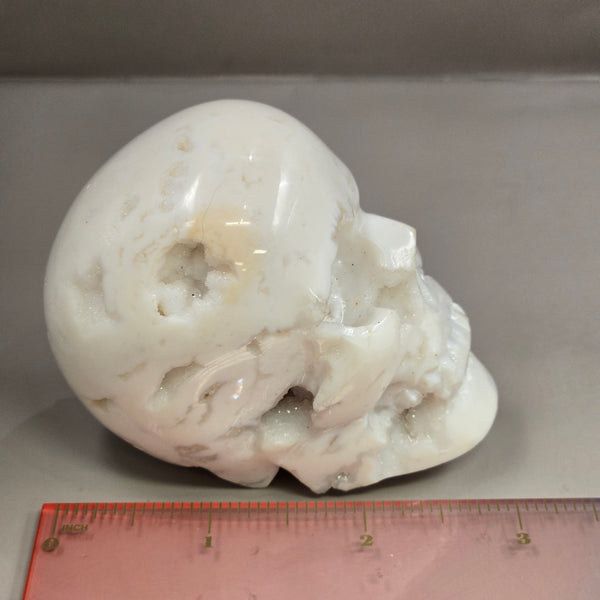 Snow Agate Skull