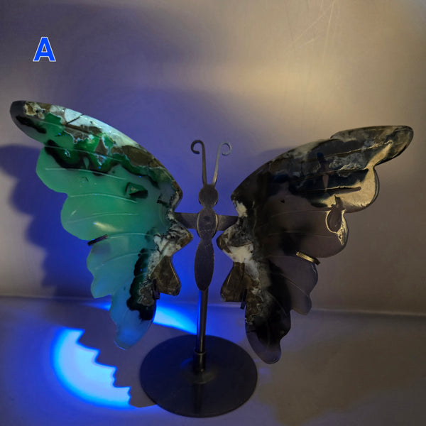 Volcano Agate Butterfly Wing Carvings on Stand