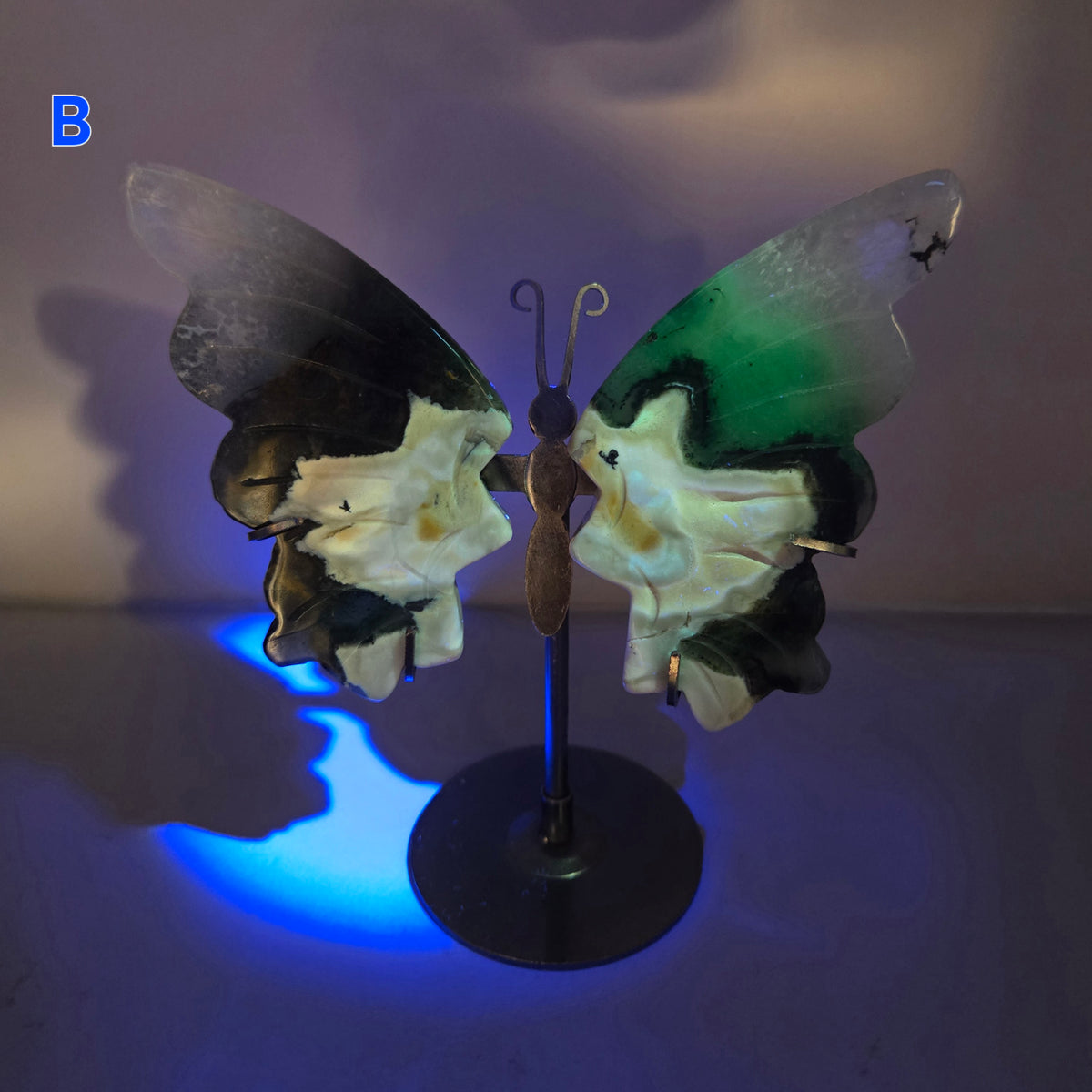 Volcano Agate Butterfly Wing Carvings on Stand