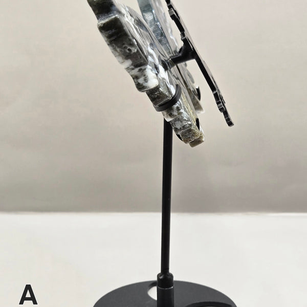 Unicorn Wings Carvings on Stand