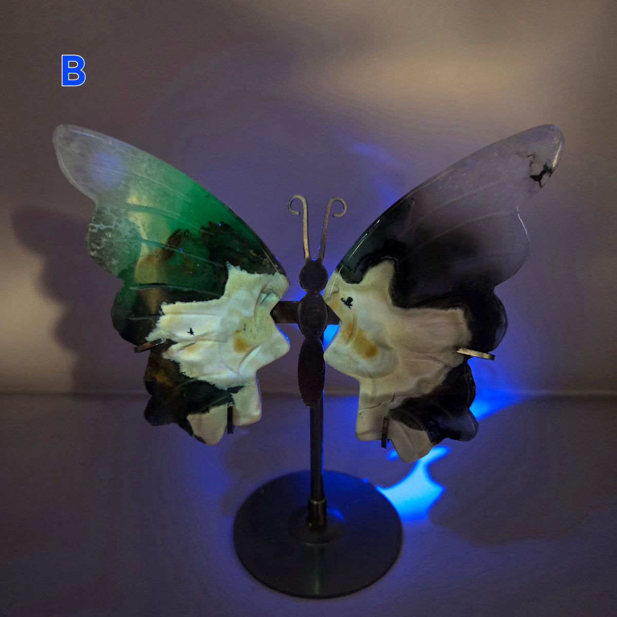 Volcano Agate Butterfly Wing Carvings on Stand