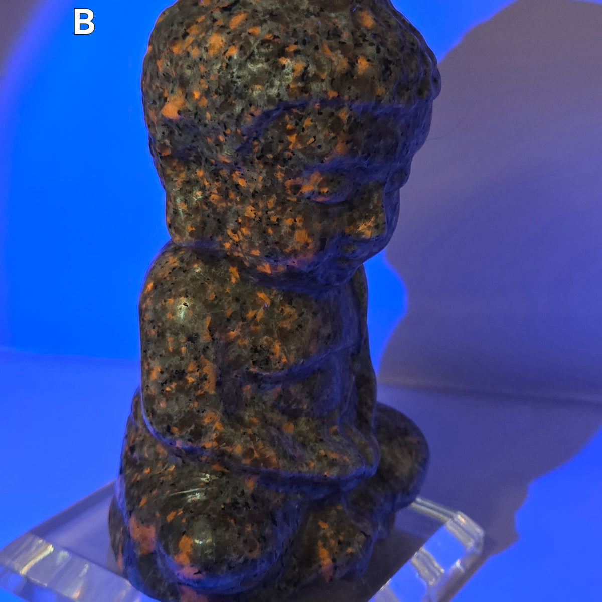 Natural Florescent Yooperlight Baby Buddha