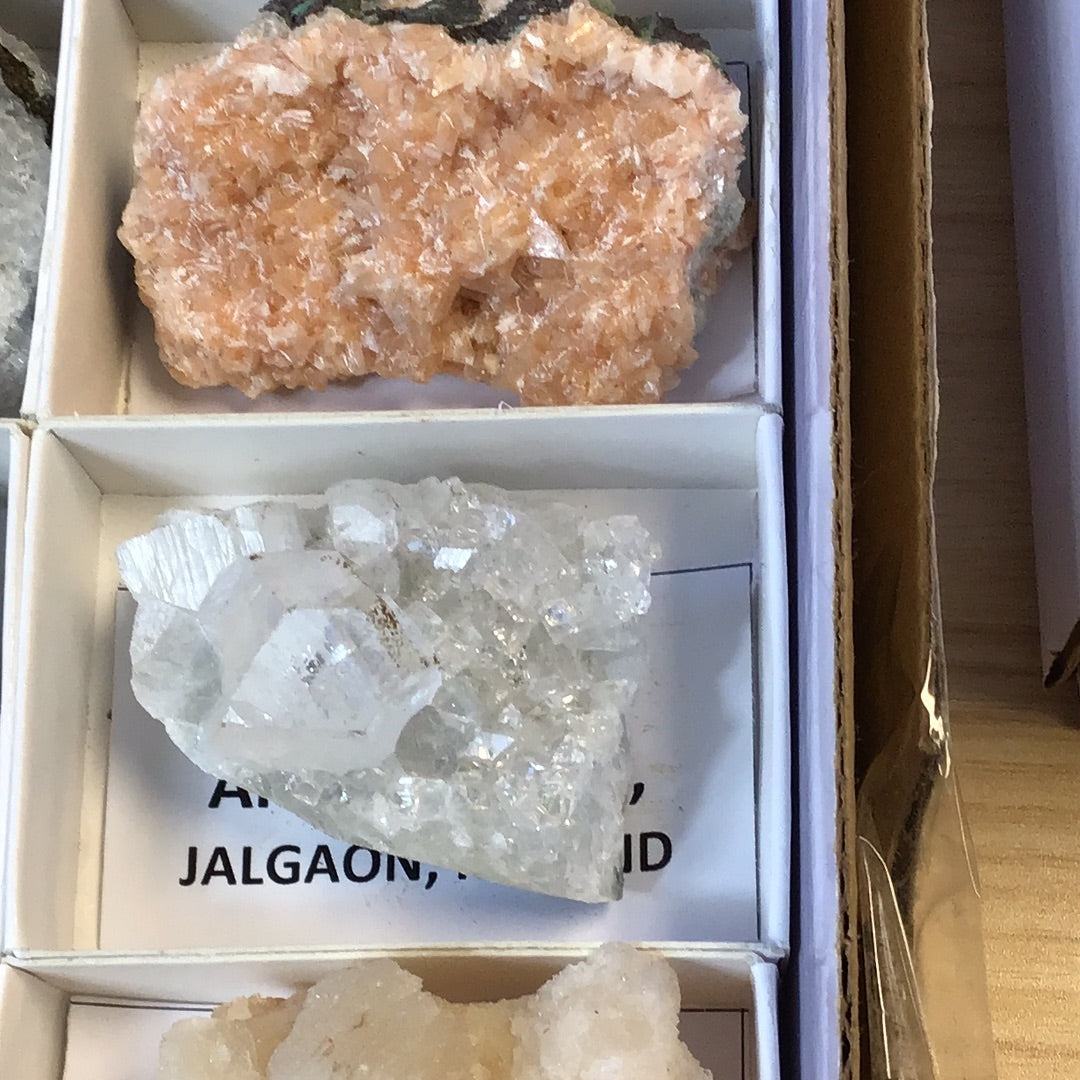 Mixed Zeolites 32 piece flat