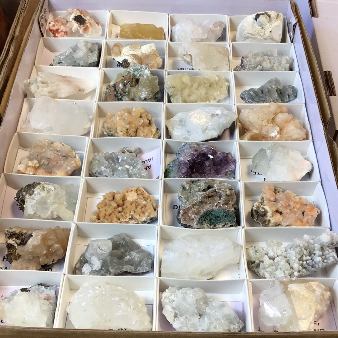 Mixed Zeolites 32 piece flat