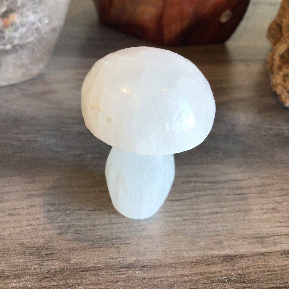 Mini Selenite Mushroom