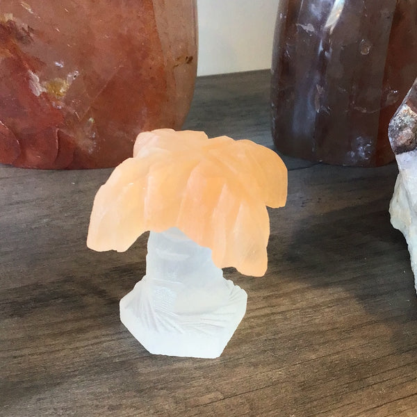 Selenite Palm Tree