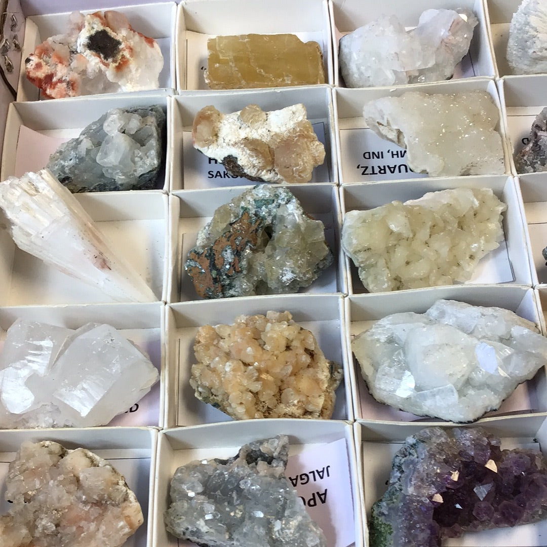 Mixed Zeolites 32 piece flat