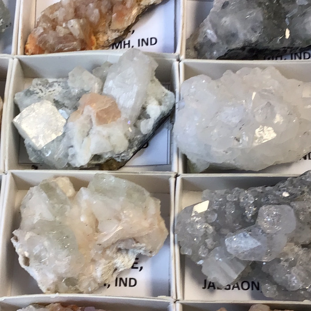 Mixed Zeolites 32 piece flat