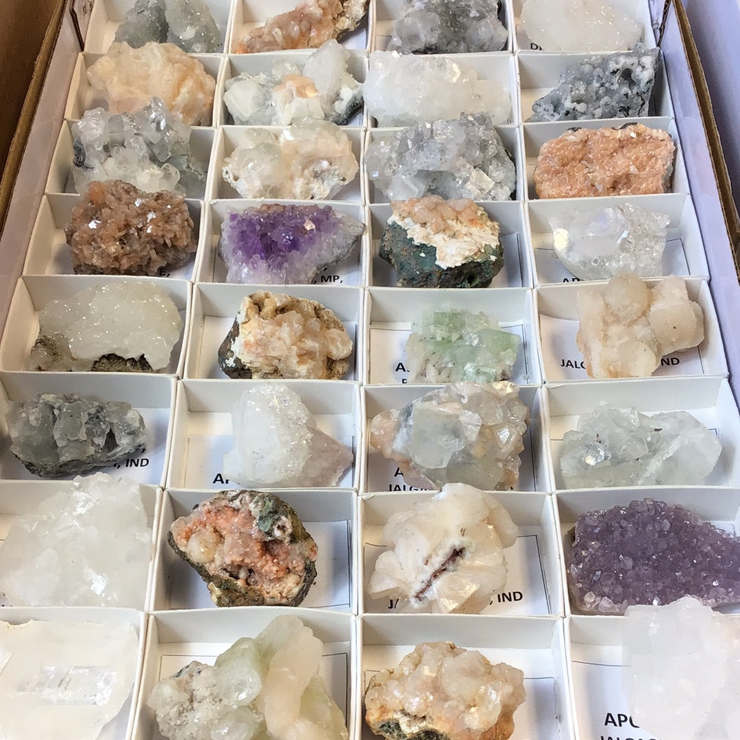 Mixed Zeolites 32 piece flat