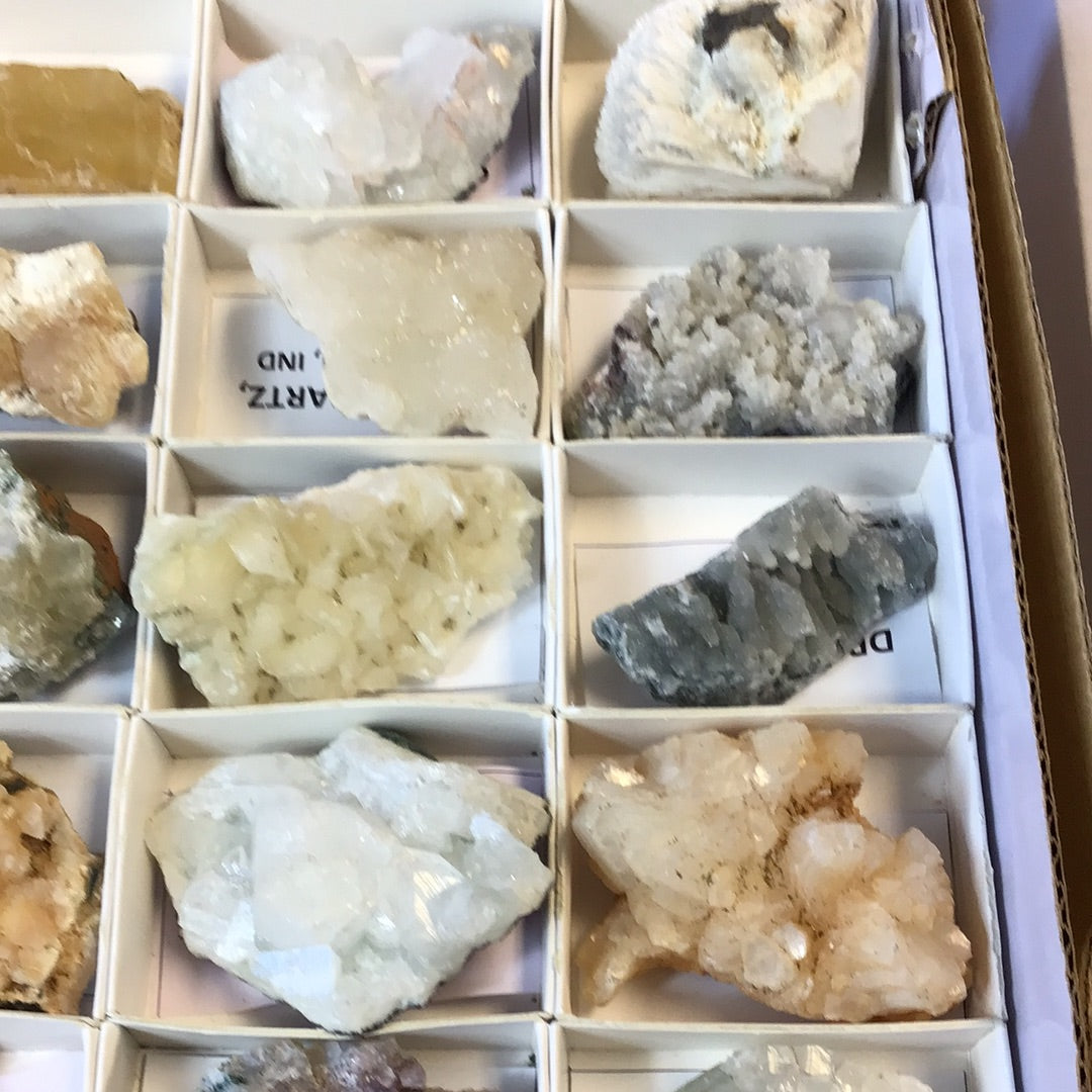 Mixed Zeolites 32 piece flat