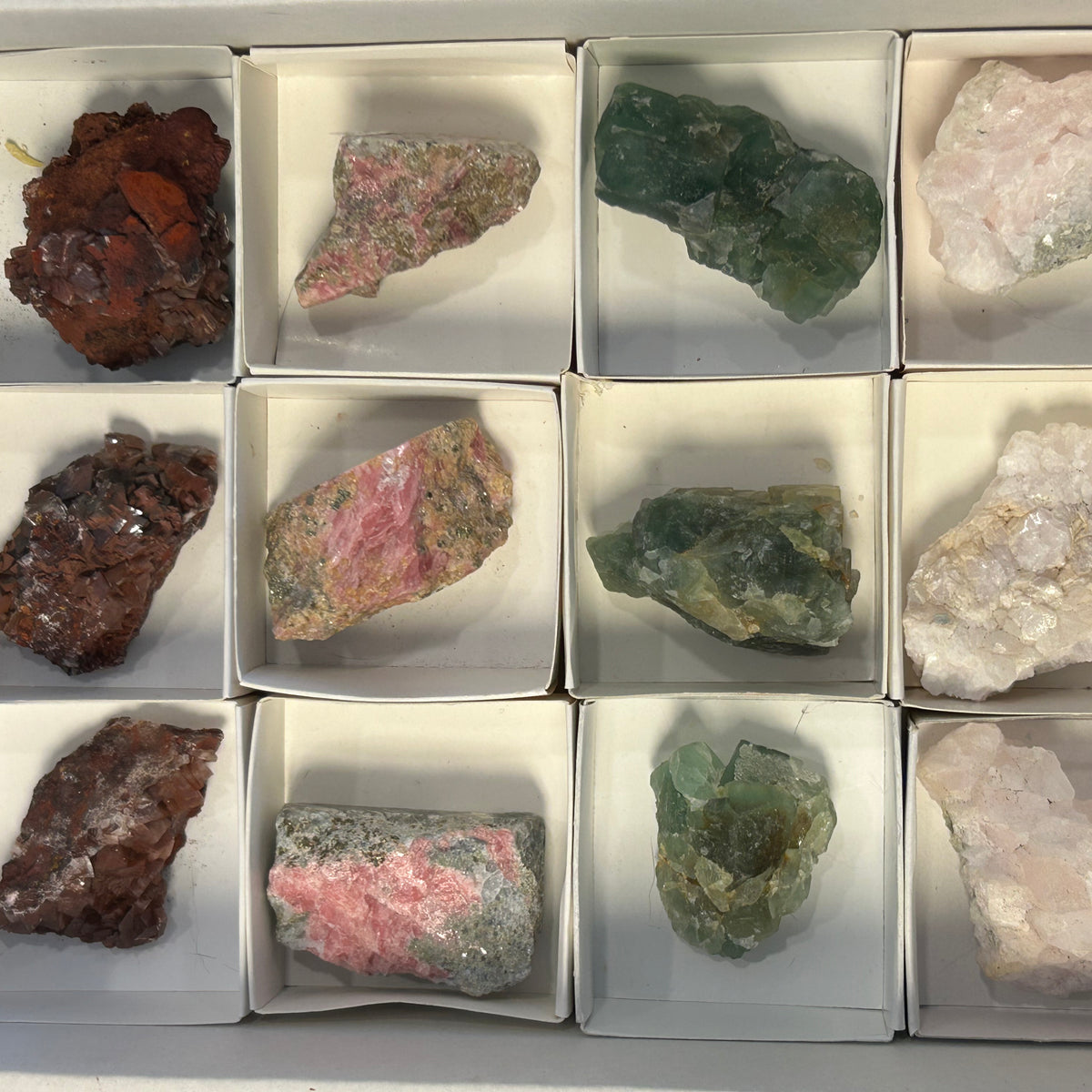 Mixed 12 piece specimen flat #2