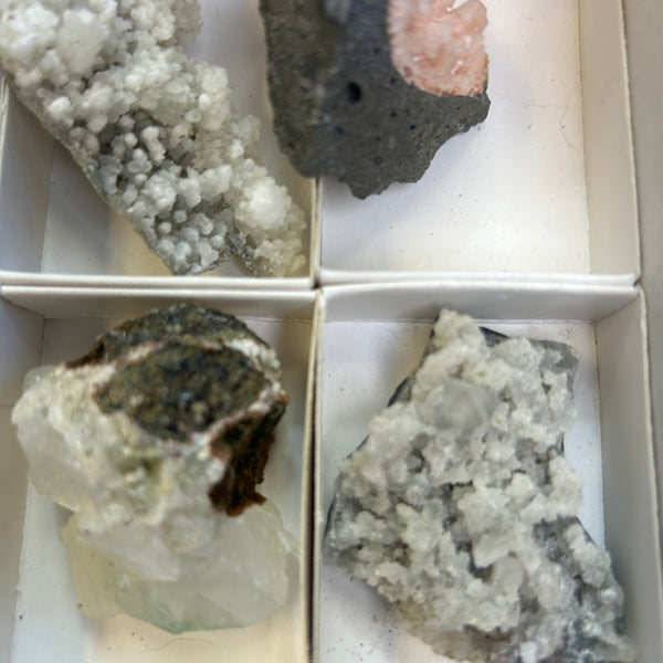 Zeolite Mix Flat 16 Pieces