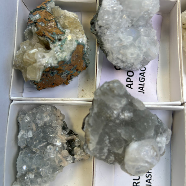 Zeolite Mix Flat 16 Pieces