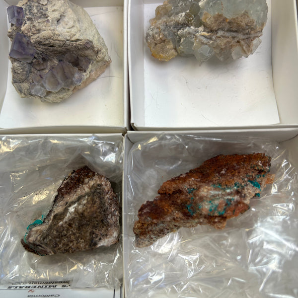 Mixed Mineral Flat 12 Pieces