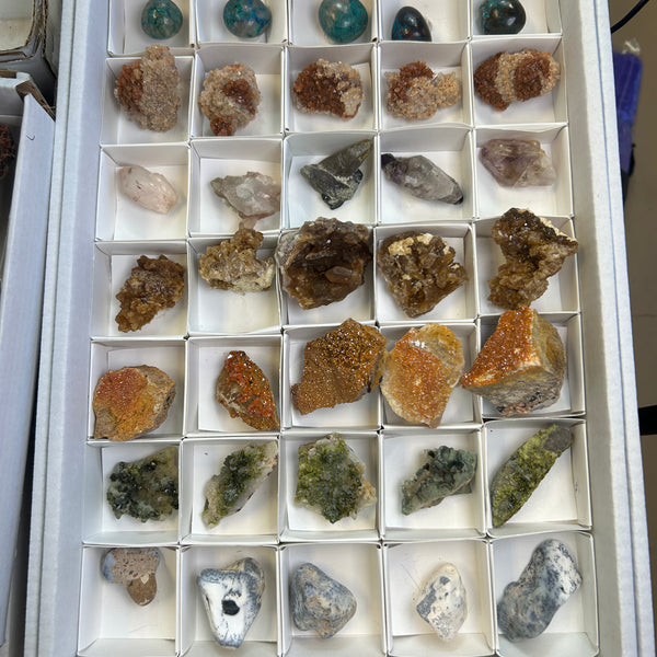 Mixed Specimen Flay 35 Pieces