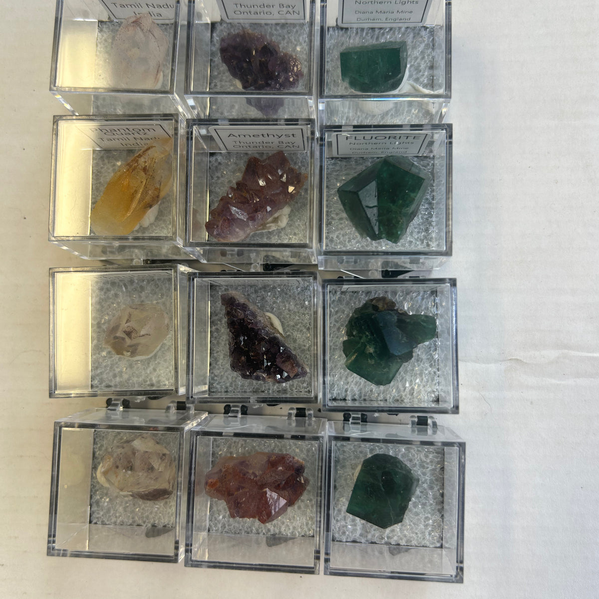 12 Piece Mixed Specimen in Perky boxes