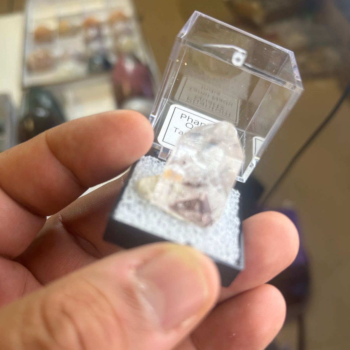 12 Piece Mixed Specimen in Perky boxes