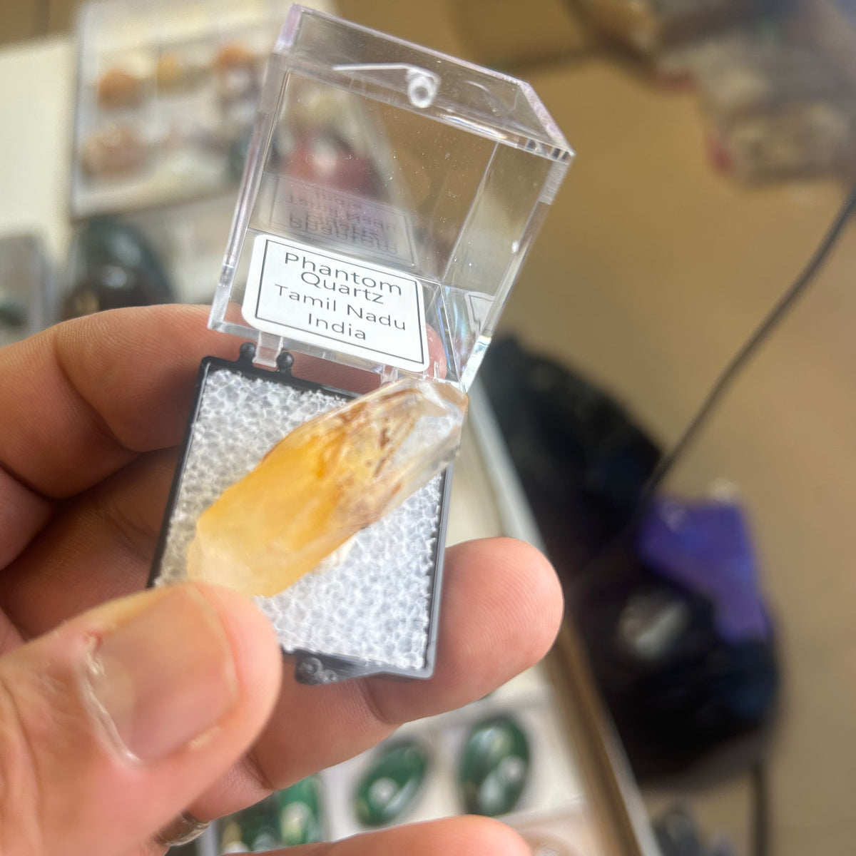 12 Piece Mixed Specimen in Perky boxes