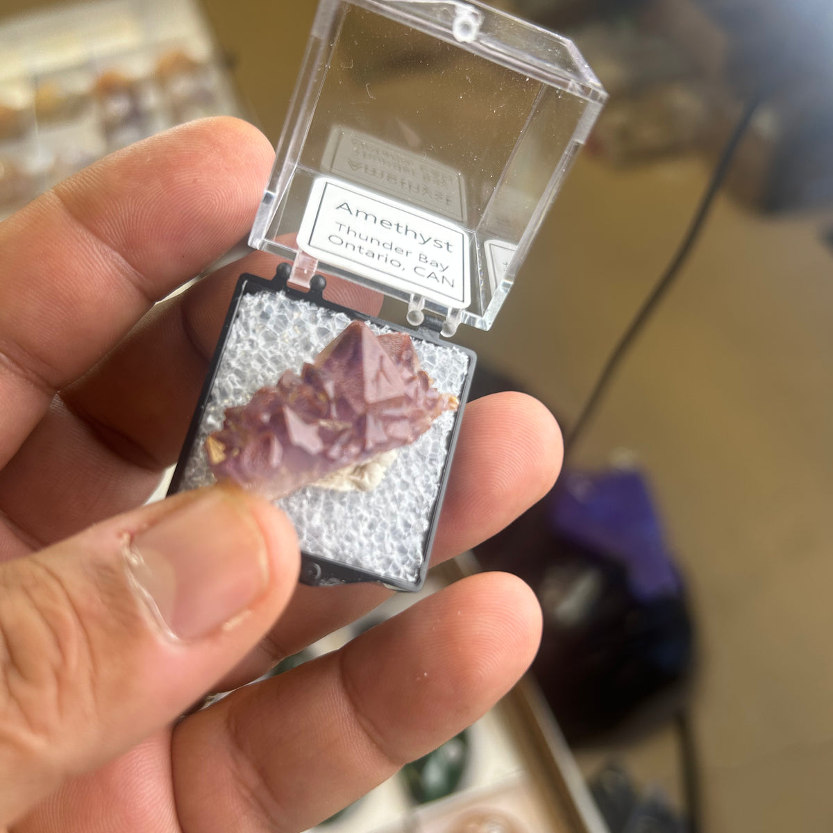 12 Piece Mixed Specimen in Perky boxes