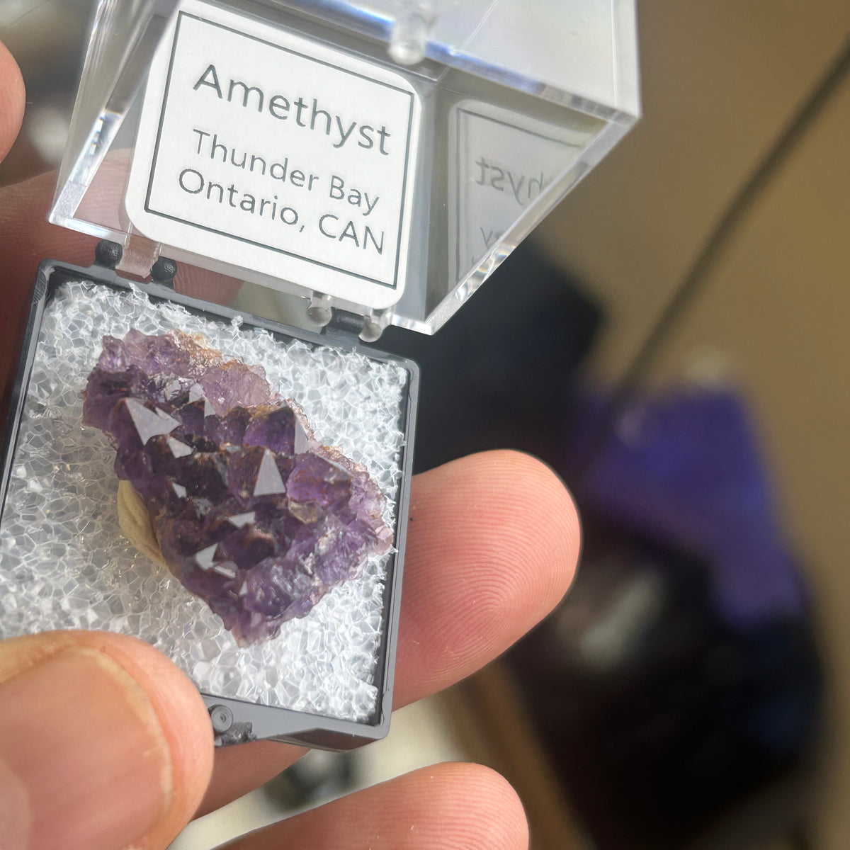 12 Piece Mixed Specimen in Perky boxes