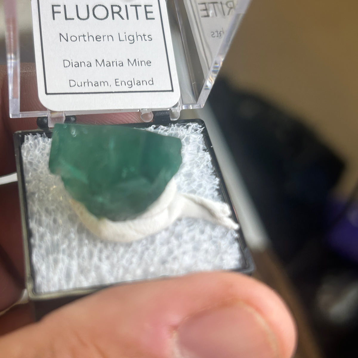 12 Piece Mixed Specimen in Perky boxes