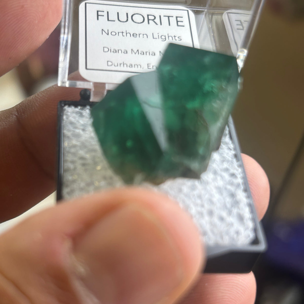 12 Piece Mixed Specimen in Perky boxes