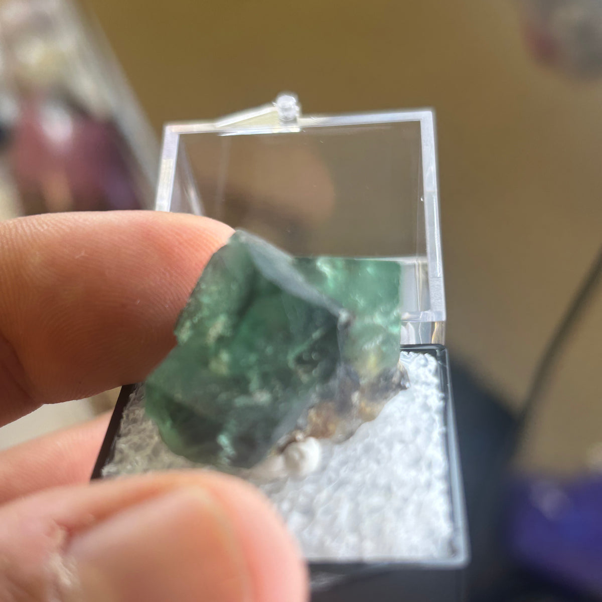 12 Piece Mixed Specimen in Perky boxes