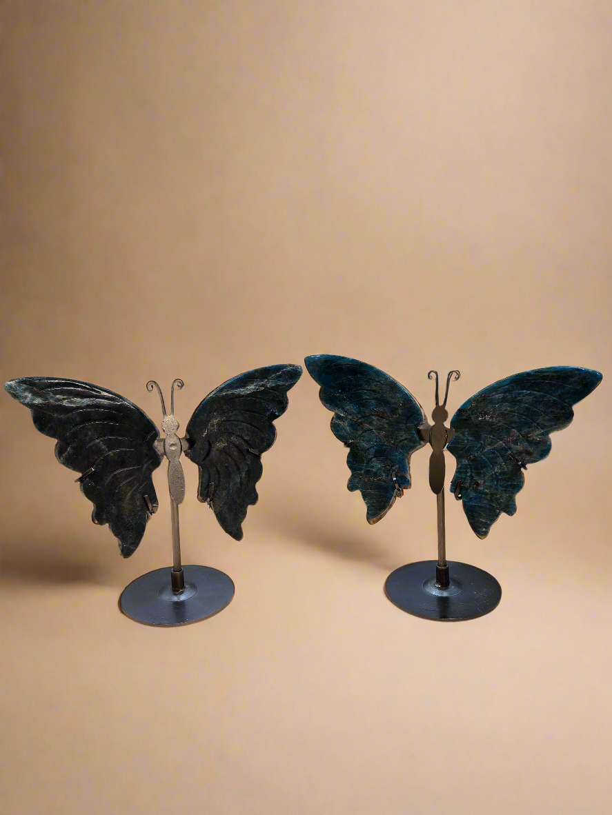 Butterfly Wing Carvings on Stand