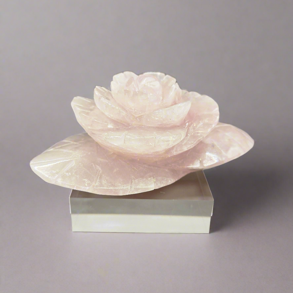 Rose Quartz Rose