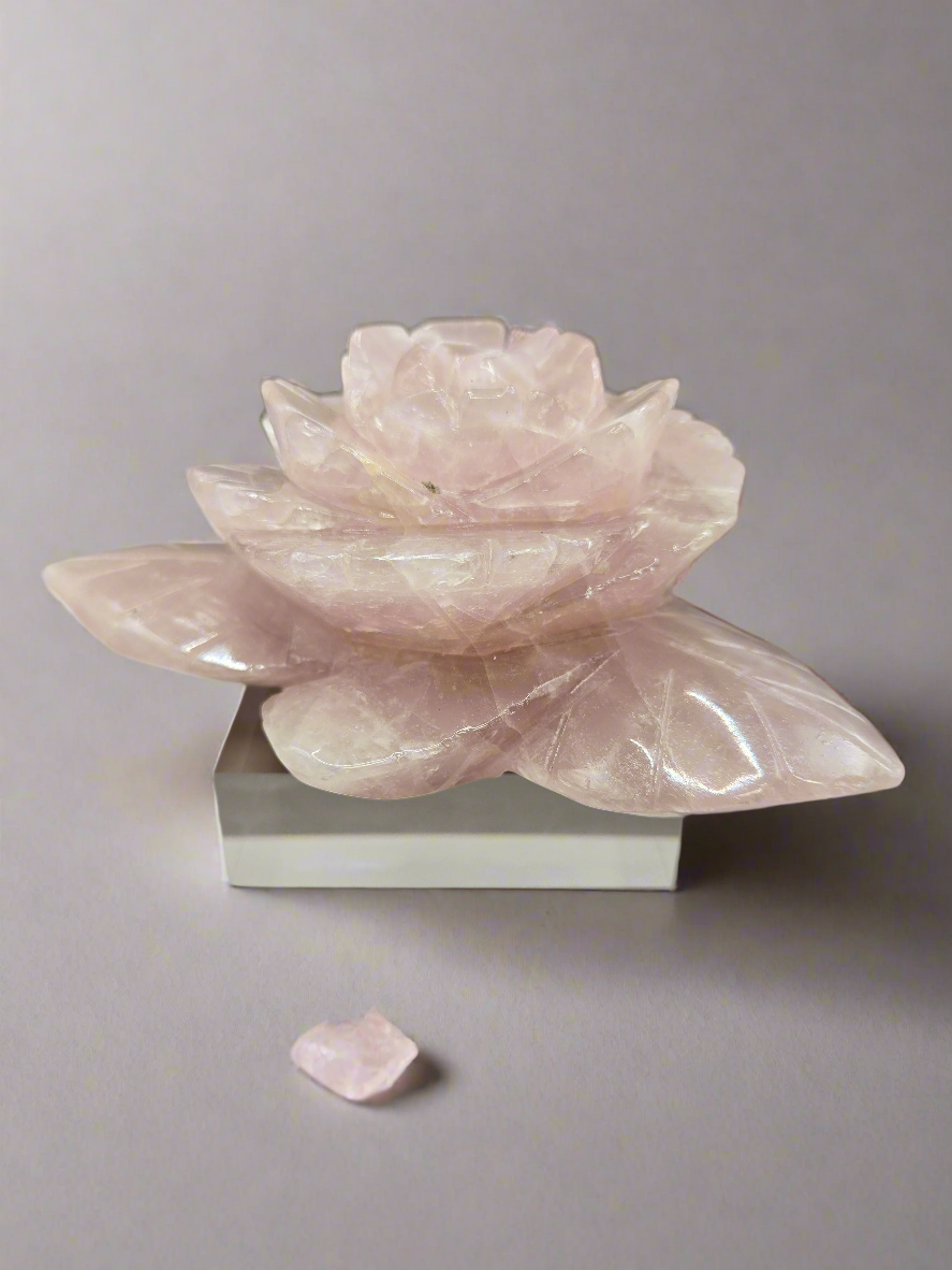 Rose Quartz Rose