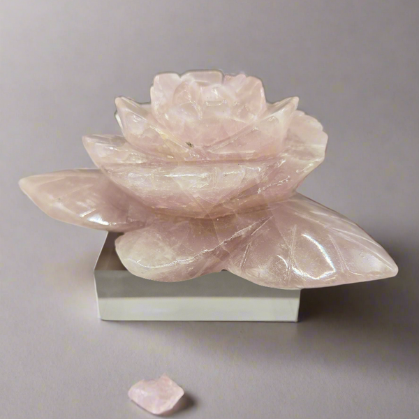 Rose Quartz Rose