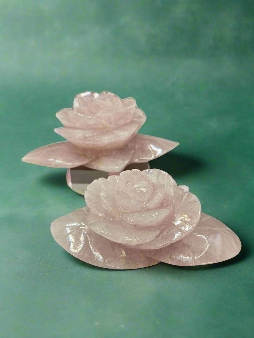 Rose Quartz Rose