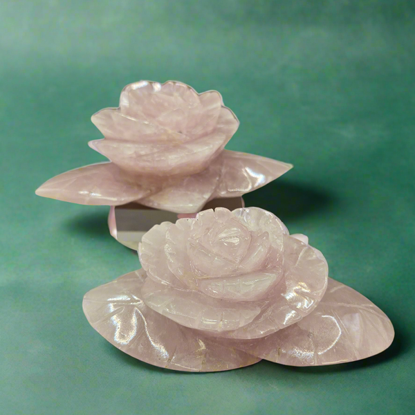 Rose Quartz Rose