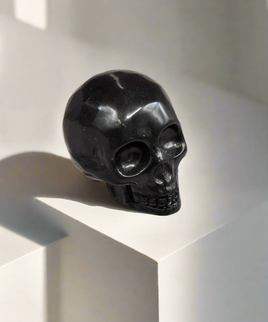 Shungite Skull