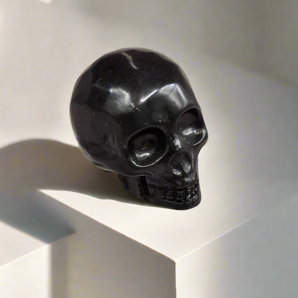 Shungite Skull