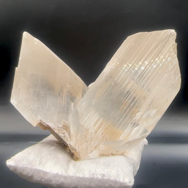 XX Large Twin-Terminated Naica Selenite with Enhydros - A Rare Gem