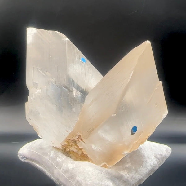 XX Large Twin-Terminated Naica Selenite with Enhydros - A Rare Gem