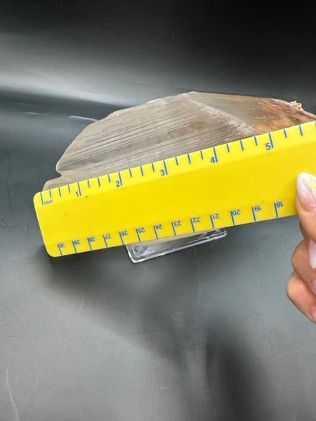 LARGE Naica Selenite