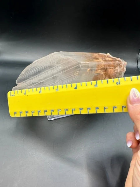 LARGE Naica Selenite