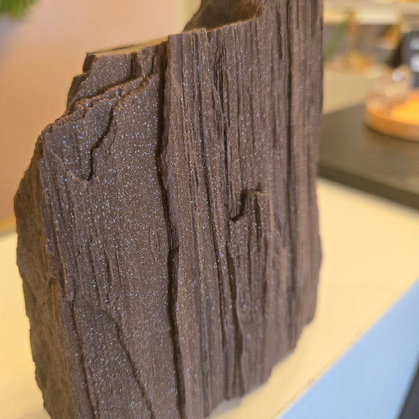 Petrified Wood Germany