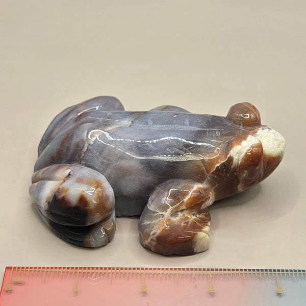 Ocean Jasper Frog (Polished)