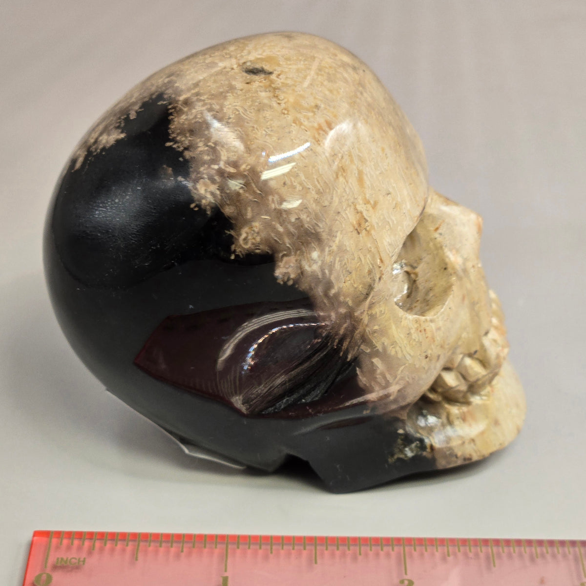 Palm Root Skull