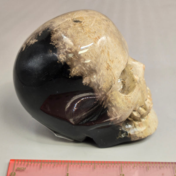 Palm Root Skull