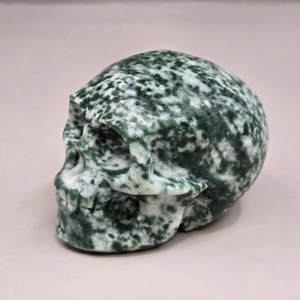 Tree Agate Skull