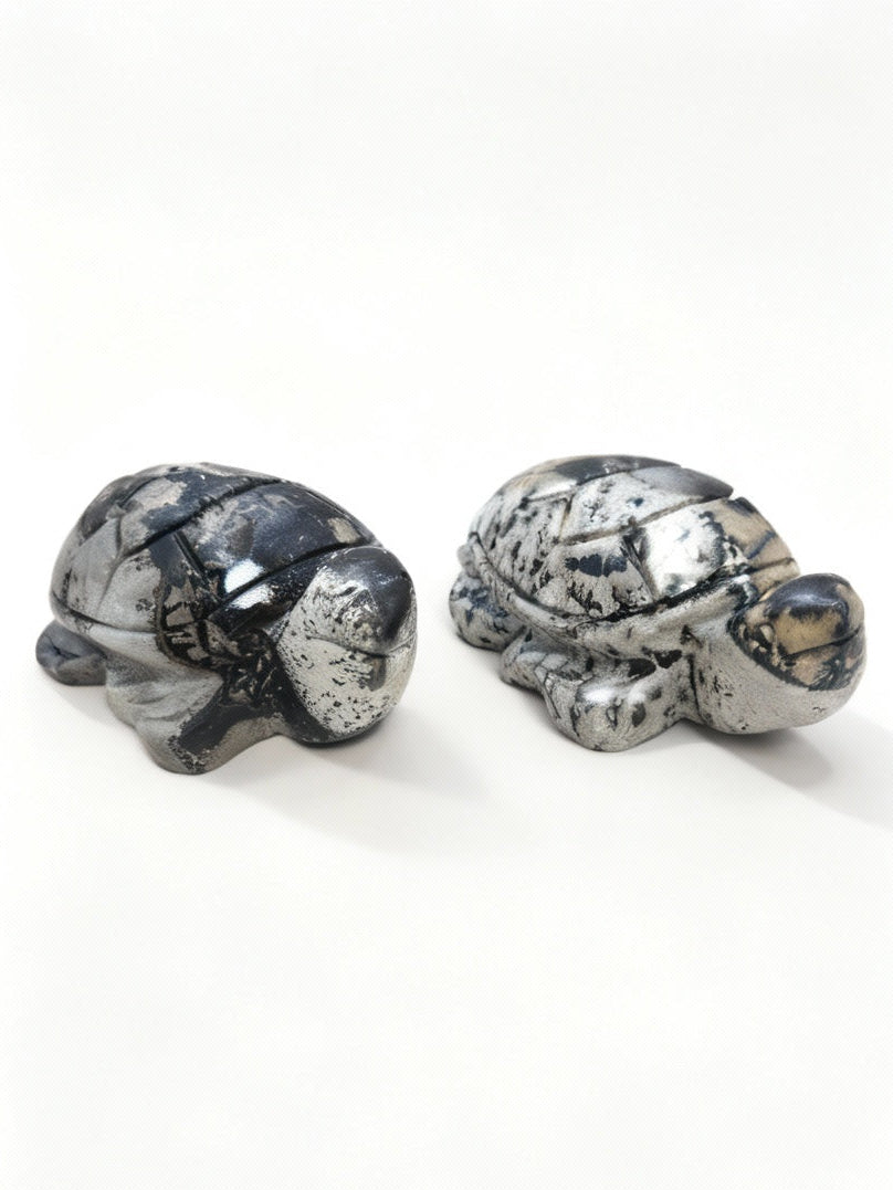 Picture Jasper Turtle