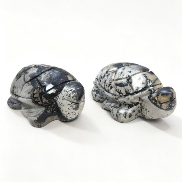 Picture Jasper Turtle