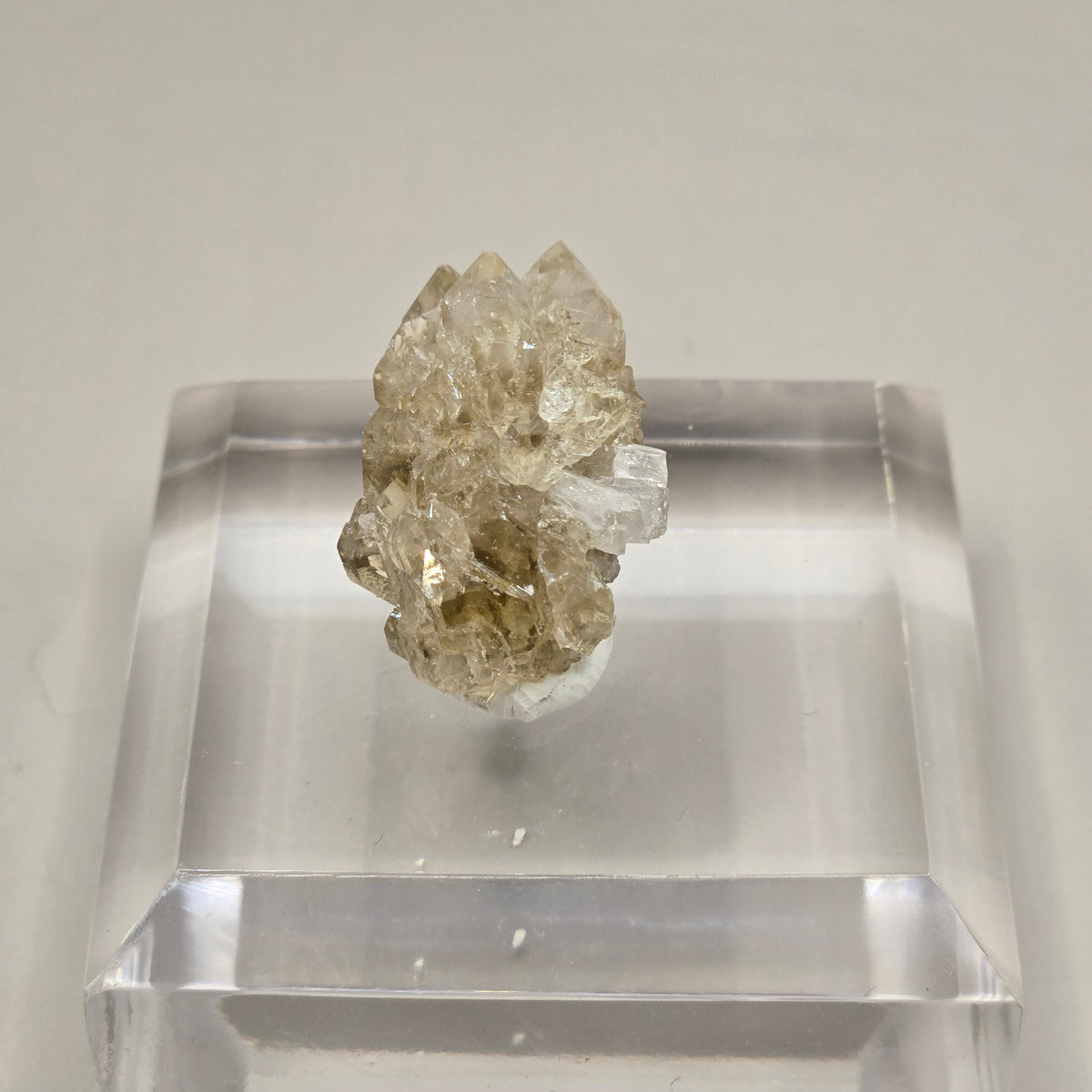 Danburite with Citrine