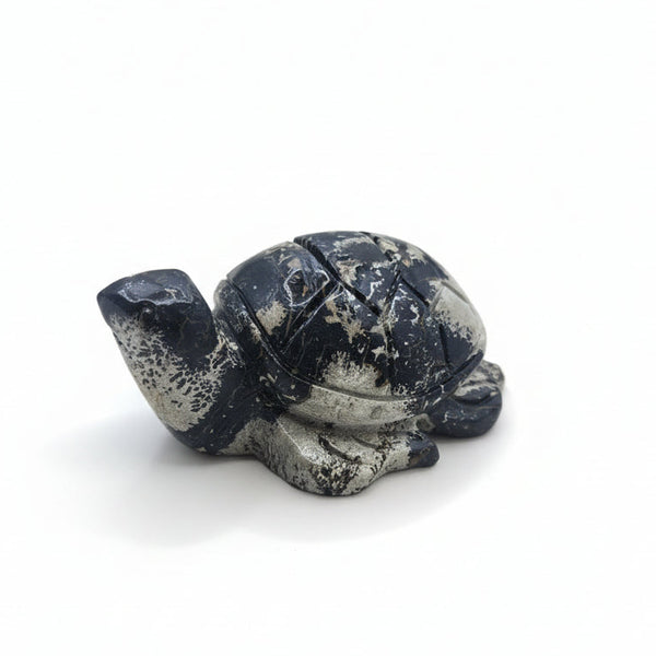 Picture Jasper Turtle